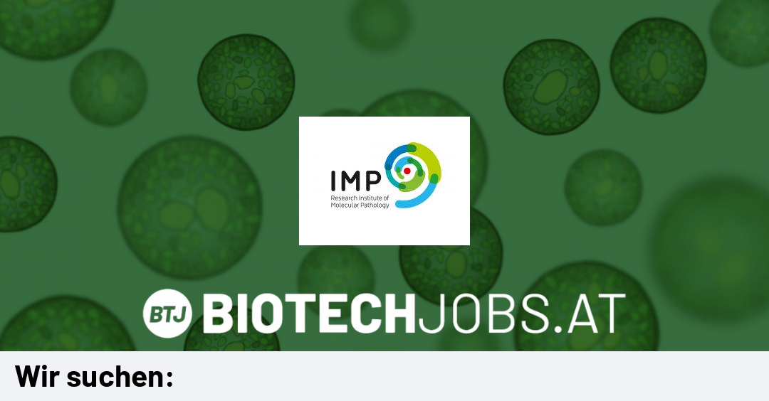 Mitarbeiter*in Biologische Sicherheit/Biosafety (m/w/d, 20h) bei